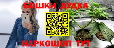 СК Белореченск