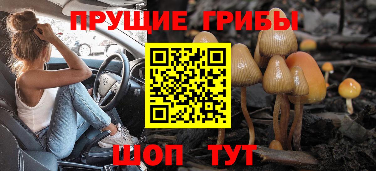 Псилоцибиновые грибы ЛСД Артёмовский