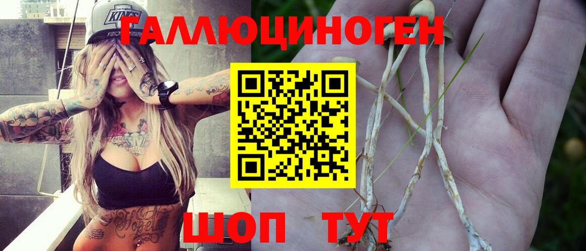 Псилоцибиновые грибы ЛСД  Псилоцибиновые грибы Psilocybe  Артёмовский  Вход с VPN 